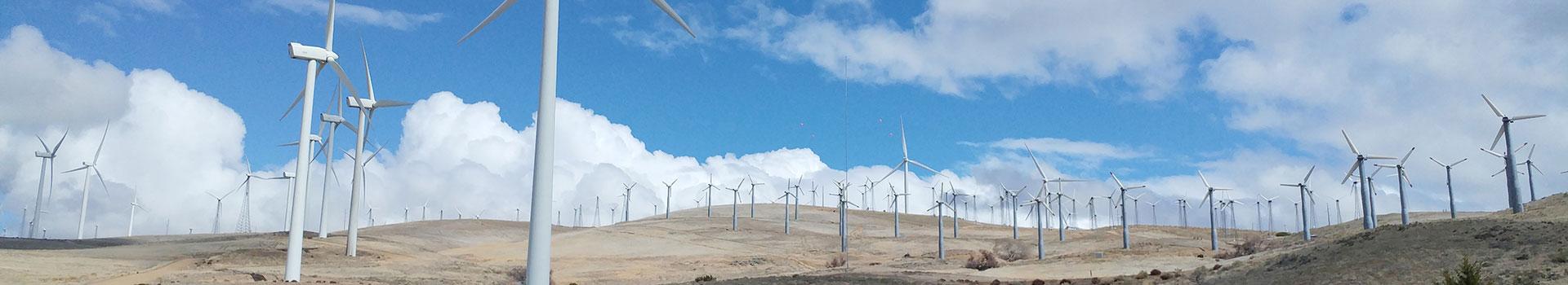 Windmills  dist.2